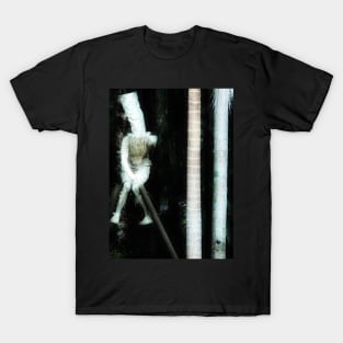 The Witch in the Woods T-Shirt